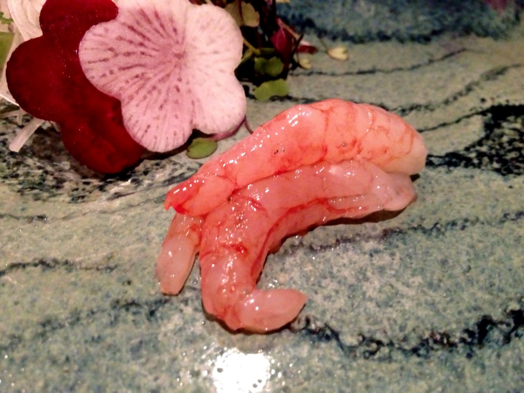 Amaebi (Sweet Shrimp) @ Sushi Taro (© 2013 The Offalo)