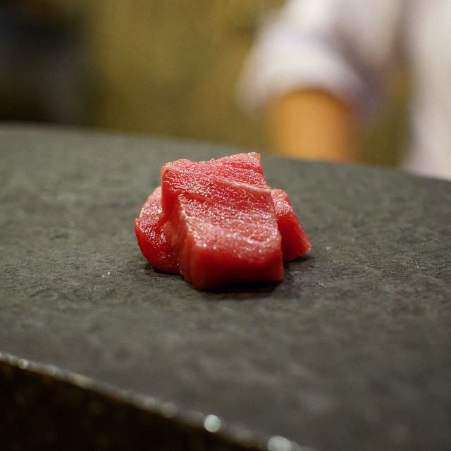 Chutoro (Medium Fatty Tuna) Sashimi at Sushi Tsujita